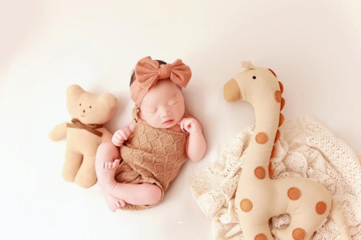 鄂尔多斯宝宝虾的做法 鄂尔多斯宝宝虾的做法